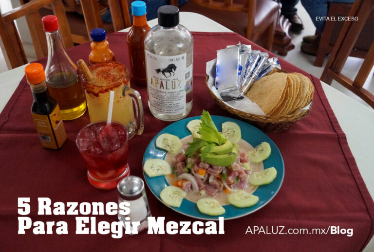 5 Motivos Para Elegir Mezcal