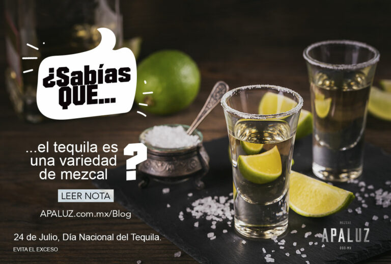 ¿Sabías que el tequila es mezcal?