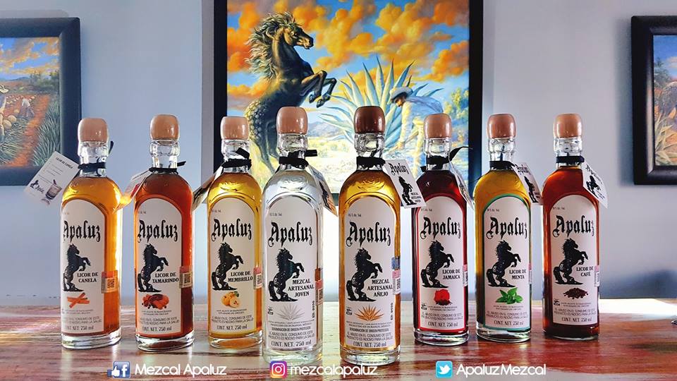 APALUZ Fotografía artística 1