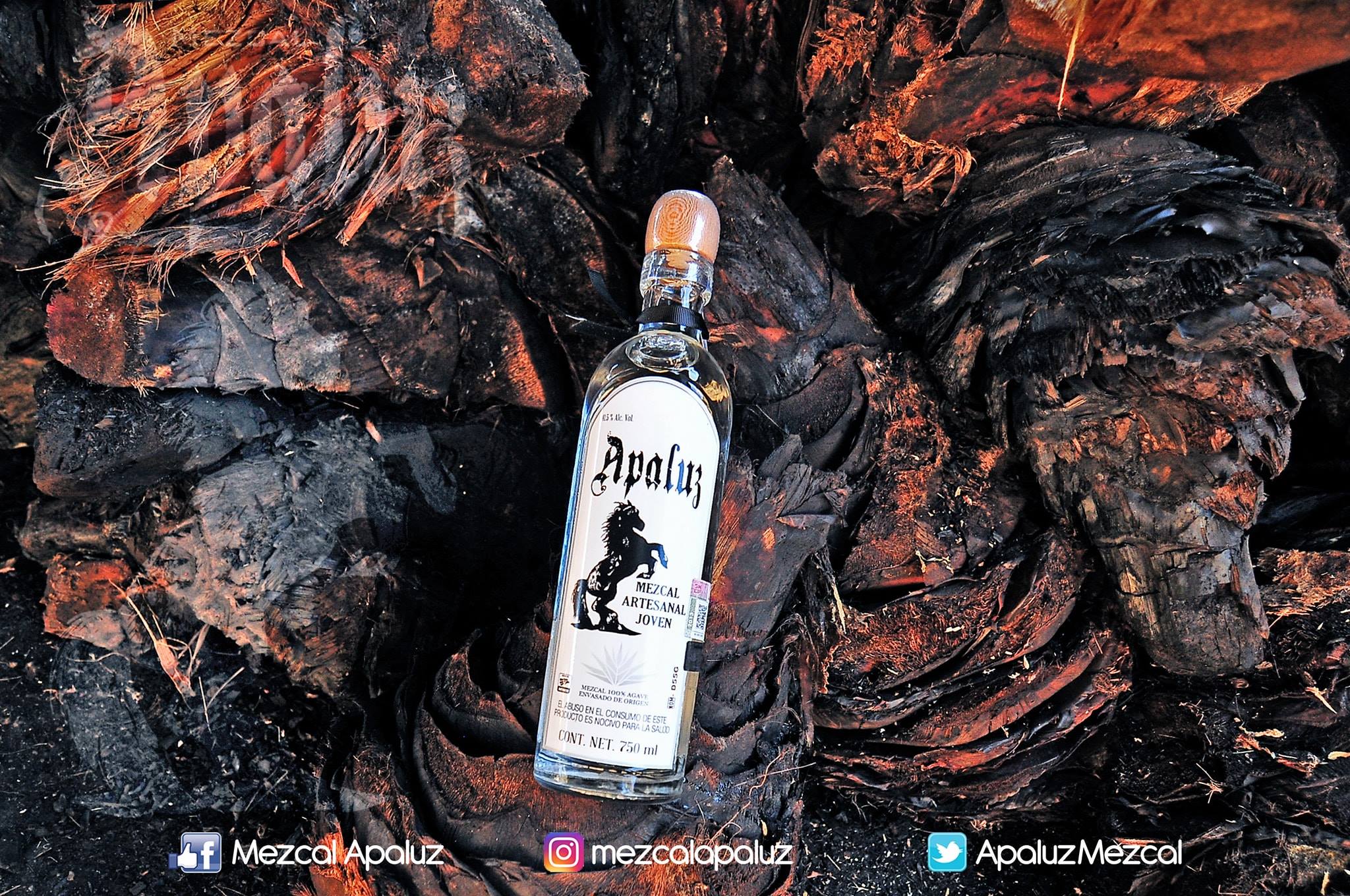 APALUZ Fotografía artística 2