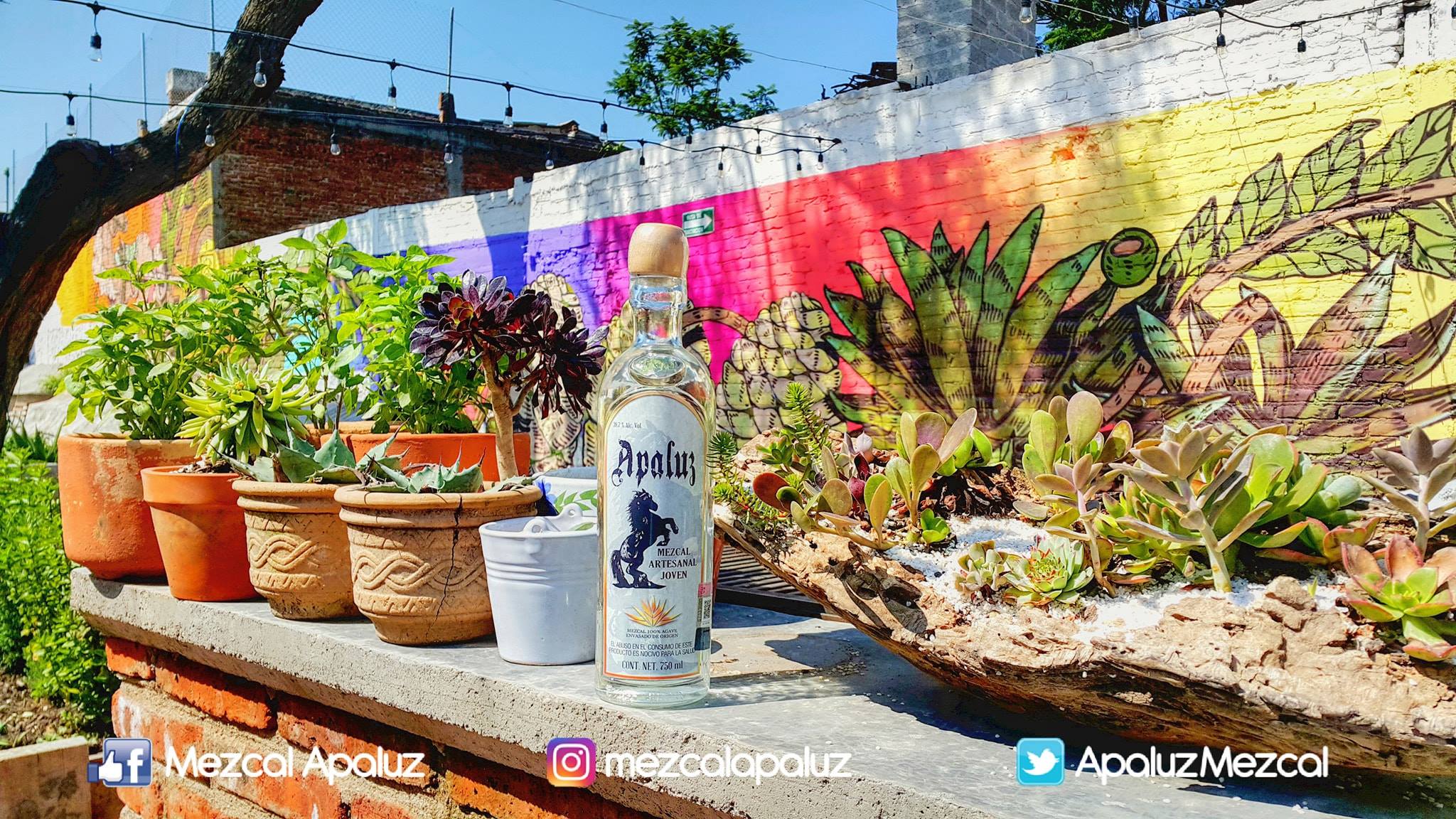 APALUZ Fotografía artística 3