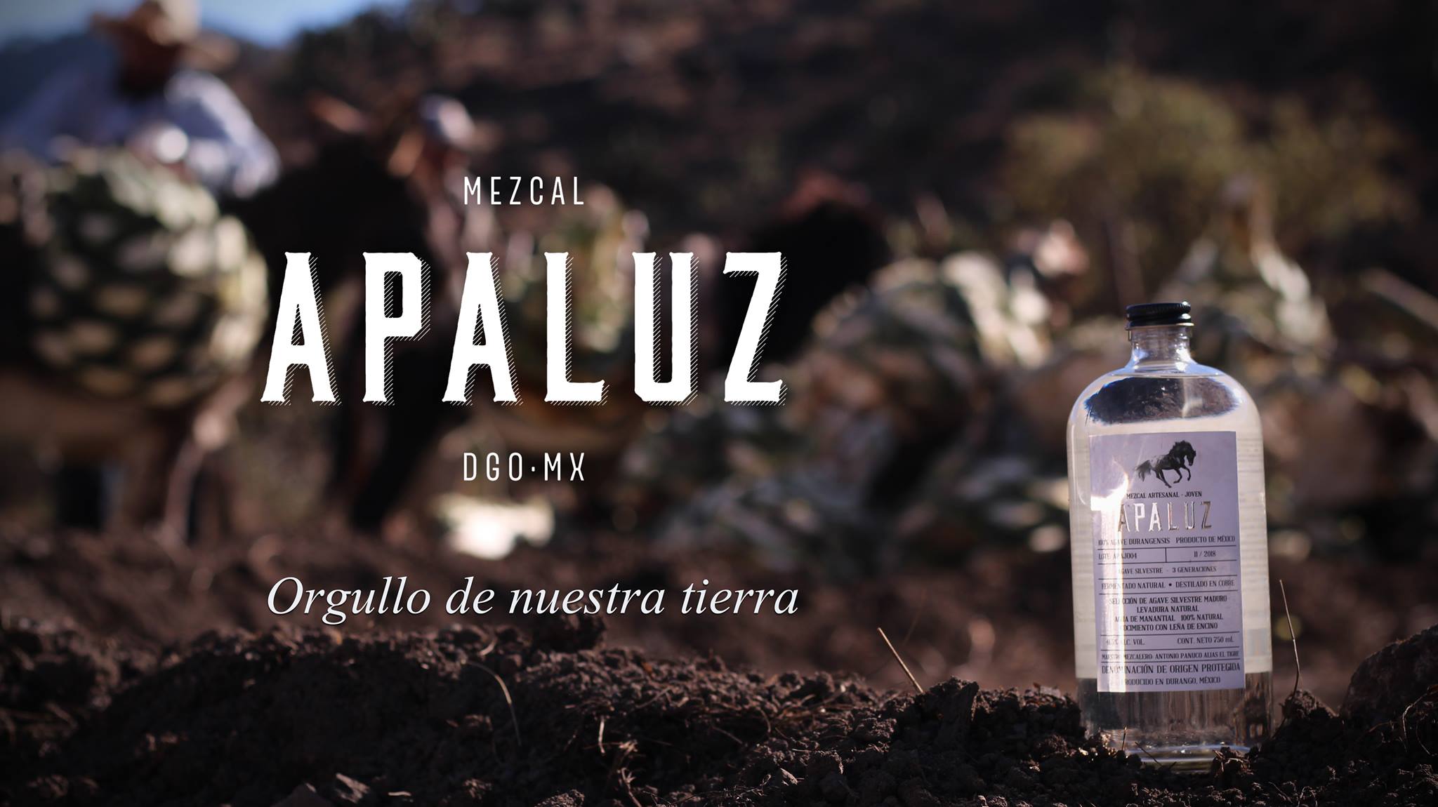 APALUZ Fotografía artística 7