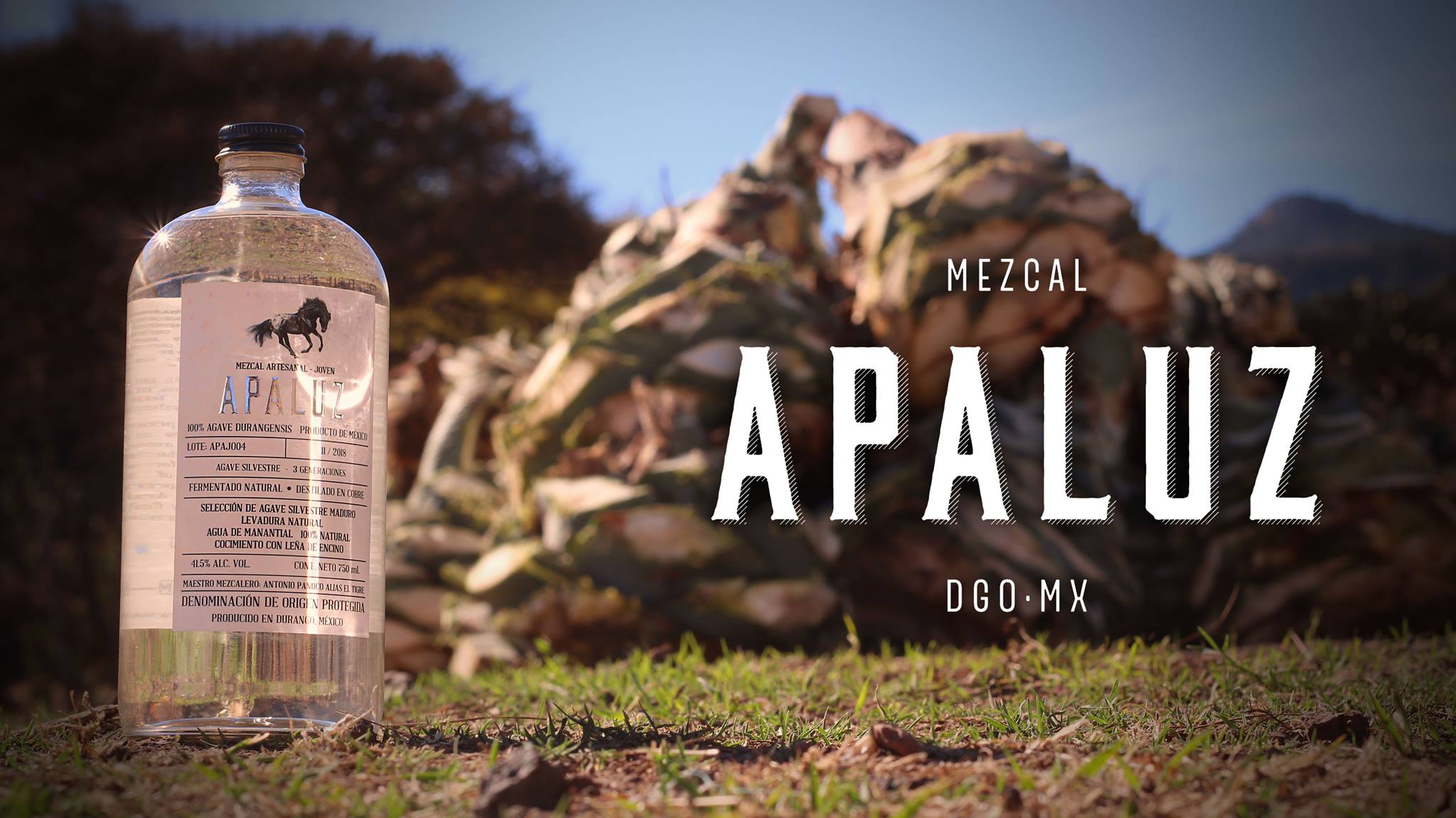 APALUZ Fotografía artística 8