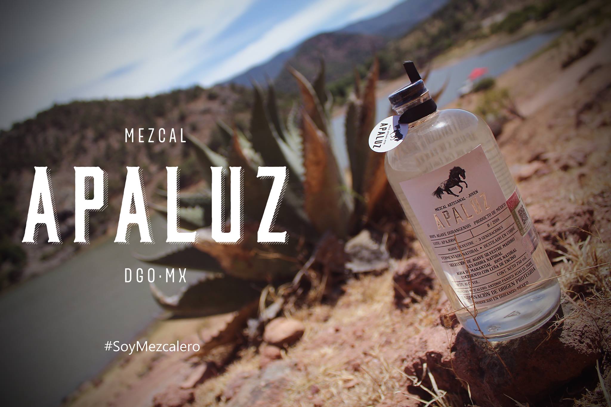 APALUZ Fotografía artística 10