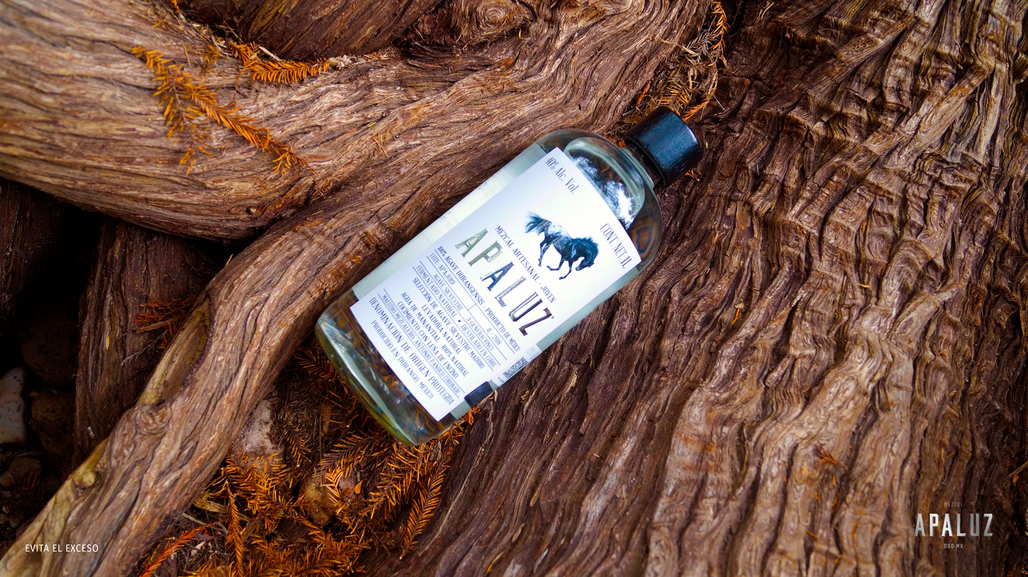 APALUZ Fotografía artística 16