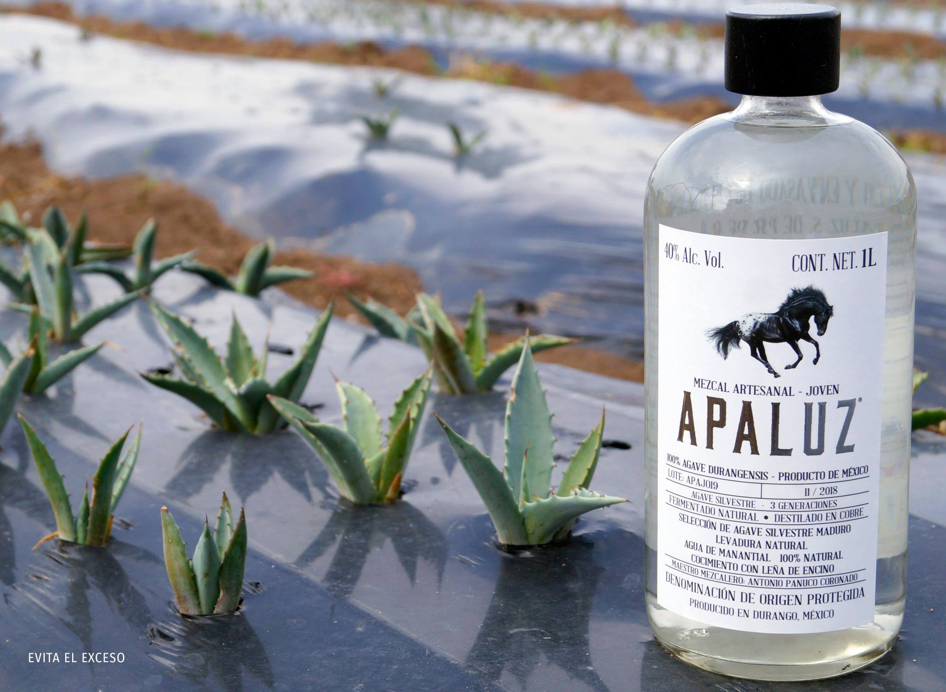 APALUZ Fotografía artística 18